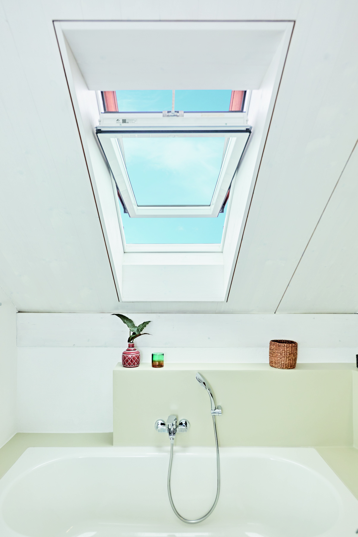 Architektur, Gebäude, Dachfenster, Fenster, Pflanze